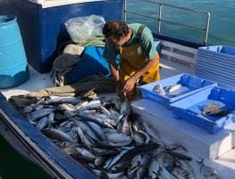 Pescaturismo - La Marina de València 